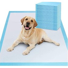 Aesco Evcil Hayvan Pedi, Kedi Köpek Pedi, Emici, 60X90