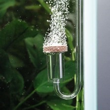 Aesco Neo Co2 Diffuser Curved Original M