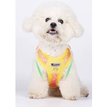 Aesco Yacel Köpek Tasması ve Gezdirme Halatı Gögüs ve Sırt Setli (Reflektörlü) (Sarı, S)