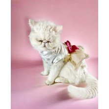 Aesco Creamy Fuschia Tütülü Kedi Elbisesi, Kıyafeti Tutu