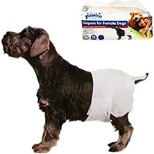 Aesco Köpek Alt Bağlama Bezi Xl Boy 12 Adet