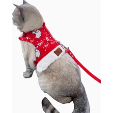Aesco Kaçış Önleyici Kedi Gezdirme Tasması ve Küçük Irk Köpek Gezdirme Tasması (M, Yeni Yıl)
