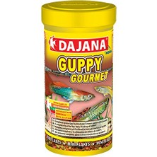 Aesco Guppy Gourmet Flakes 100 ml 20 gr