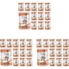 Aesco Yetişkin Kedi Somonlu ve Jöleli Konserve  400 gr x 12 Adet (3 Paketi)