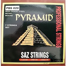 Aesco Pyramid PBS20 020 Uzun Sap Için Saz Teli - Orjinal Alman