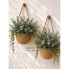 Orvessa Mini Dekoratif Çiçeklik, 12X10CM Organizer ve Bitki Tutucu Sepet