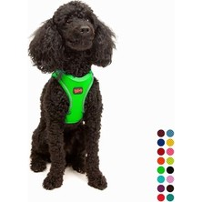 Aesco Tailpetz Air-Mesh Küçük ve Orta Irk Kedi Köpek Göğüs Tasması - Yumuşak, Nefes Alabilir, Dayanıklı (Neon-Yeşil, Xsmall)