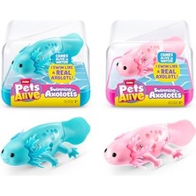 Aesco Yüzme Robo Axolotl (2'li Paket) Zuru