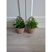 Orvessa Kahverengi Mini Çiçeklik ve Saksılık, Kompakt ve Dekoratif Tasarım Sepet