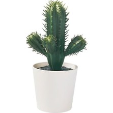 Aesco Yapay Bitki, Yeşil, 6 Cm, Kaktüs, Iç/dış Mekan
