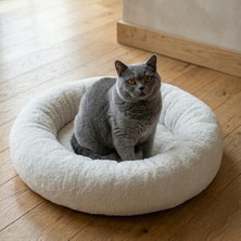 Aesco Teddy Donut Şeklinde, Ultra Yumuşak Kumaşlı, Kaydırmaz Tabanlı, Yıkanabilir Kedi ve Köpek Yatağı (Ekru, Medium)