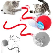Aesco Kedi Oyuncağı Topu Kuyruklu Otomatik Yuvarlanan Top, Hareketli Kuyruk, USB Şarjlı, LED Işıklı, 3 Oyun Modu, Evcil Hayvanlar Için Eğlenceli Oyuncak