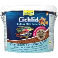 Aesco Yem Cichlid Color Mini 10 Litre