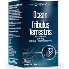 Aesco Orzax  Tribulus Terrestris 500 Mg 60 Kapsül