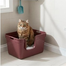Aesco Tanos Yarı Açık Kedi Tuvaleti 54X40X32 - Bordo