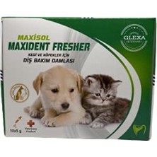 Aesco Maxisol Maxident Fresher Kedi ve Köpekler Için Diş Bakım Damlası