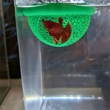Aesco Woof Akvaryum Beta Balığı Saklanma Alanı,yüzen Mağara 8 cm