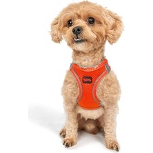Aesco Tailpetz Air-Mesh Küçük ve Orta Irk Kedi Köpek Göğüs Tasması - Yumuşak, Nefes Alabilir, Dayanıklı (Neon-Turuncu, 2xs)