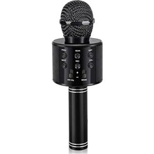 Aesco Babilden C-8501 Karaoke Mikrofon Bluetooth USB & Tf & Aux (Siyah)