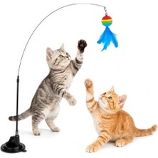 Aesco Vantuzlu Tüylü Kedi Oltası, Renkli Toplu ve Esnek Yaylı Çubuklu Interaktif Kedi Oyuncağı, Sabit Tabanlı Avlanma, Egzersiz, Zihinsel Uyarım ve Eğlence Oyuncağı (Vantuzu Islatın ve Nemli Tutun)