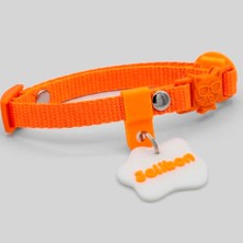 Aesco Charmlı, Isimlikli, Telefon Numarası Yazılı, Kedi Boyun Tasması (Safety Click) (Turuncu)