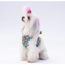 Aesco Air-Mesh Ducks Köpek Göğüs Tasması (2xs)