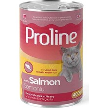 Aesco Somon Etli Sos Içinde Gravy Yetişkin Kedi Konservesi 400 gr