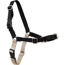 Aesco Easy Walk No-Pull Köpek Göğüs Tasması, Çekmeyi Önlemeye Yardımcı, Kontrolü Ele Alın ve Tasmayla Daha Iyi Yürümeyi Öğretin, Evcil Hayvanların Çekmesini Önlemeye Yardımcı, Petite/s, Siyah/gümüş