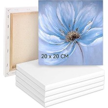Aesco Boyama Için Tuval 5'li Set, Tuval 20 x 20 Cm, Tuval %100 Pamuk, Boyama Tuvali, Tuval Çerçevesi, Akrilik, Sulu Boya, Yağlı Boya Vb. Için Tuval Seti