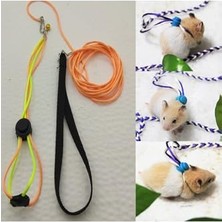 Aesco Gonzales Hamster Gezdirme ve Dolaştırma Tasması Patentli Tasarım