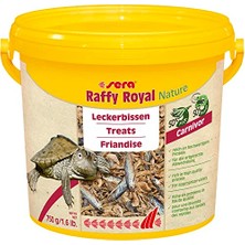 Aesco Raffy Royal Nature 3.8 L (750 G) Kurutulmuş Balık (%50) ve Karides (%50), Hamsi ile Güçlü Isırma Için Türlere Uygun Çeşitlilik, Kaplumbağalar Için Yiyecek