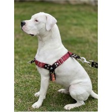 Aesco Köpek Göğüs Tasması Büyük & Çok Büyük Irk Ayarlamalı Önden ve Sırttan Çekmeli Kordon Kırmızı & Siyah