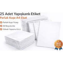 Aesco Adcoat 25 Adet Yapışkanlı Etiket Parlak Kuşe A4 Ebat