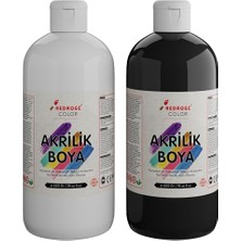 Aesco Beyaz-Siyah Akrilik Boya 2'li Set 2X500GR