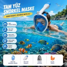 Aesco Tam Yüz Şnorkel Maske (L-Xl) Beden Pank Görüşlü Deniz Gözlüğü Dry Top Sistem Şnorkel Seti