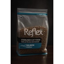 Odea Somonlu Kısırlaştırılmış Kedi Sı 1 kg