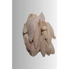 Odea Kalamar Kemiği 100 Gram+Mineral Blok ve Portakallı Enerji Blok (Muhabbet,paraket,kanarya Seti)