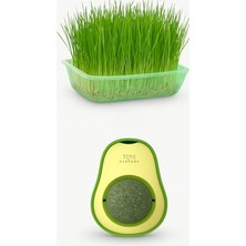 Odea Doğal Fileli Kedi Çimi Seti ve Avokado Catnip Nanesi Oyuncağı Kedi Otu 2si 1 Arada