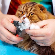 Odea Kedi Köpek Tırnak Makası 12,3 cm
