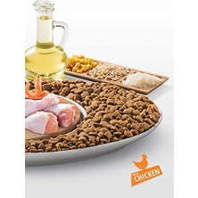 Odea Adult Cat Tavuklu Yetişkin Kedi Sı 15 kg