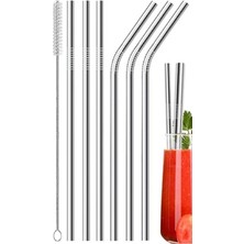 Odea 7 Parça Parça Metal Pipet Seti Paslanmaz Çelik Pipet ve Çubuk Pipet Temizleme Fırçası