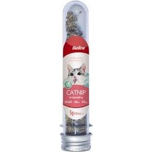 Odea Catnip Kedi Otu 45 ml          [enerji Sınıfı A]