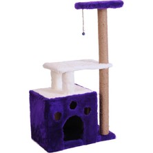 Odea Kedi Tırmalama, Gordion, Mor