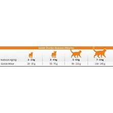 Odea Reflex Tavuklu Yetişkin Kedi Sı 2 kg x 2 Adet