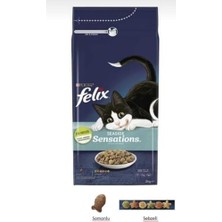 Odea Sensations Somonlu Sebzeli Kuru Kedi Sı 2kg