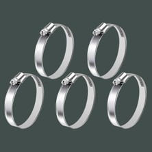 Aesco 5 Adet Hortum Kelepçesi Tork Ayarlı 28X48 mm Paslanmaz Çelik Boru Metal Kelepçe Ayarlanabilir Klips