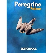 Nacario Peregrine Falcon : Sketchbook Large Hardcover Peregrine Falcon Sketchbook For Drawing 8.25 x 11 Inch 200 Pages Falconry Falcons Falconer Sketchbook: ... & Doodle For Falcons Raptors Lovers