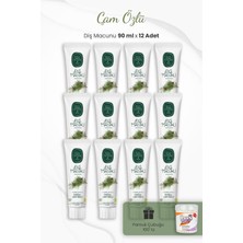 Nacario Eyüp Sabri Tuncer Çam Özlü Diş Macunu 90 ml x 12 Adet ve Kulak Çubuğu