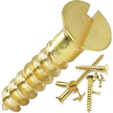 Nacario Kale Vida Sarı Havşa Başlı Ağaç Vidası, Kaliteli Çelik, 19X17 Mm, 144 Adet (1 Grosa), Tse Belgeli