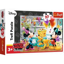 Nacario Trefl 30 Birthday Cake, Disney Characters